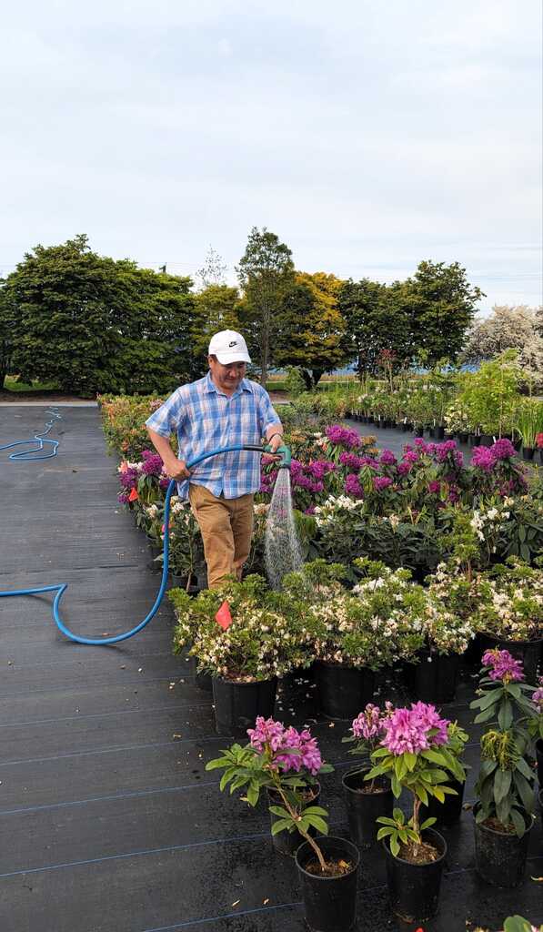 Seasonal outdoor upkeep in Santa Cruz County.